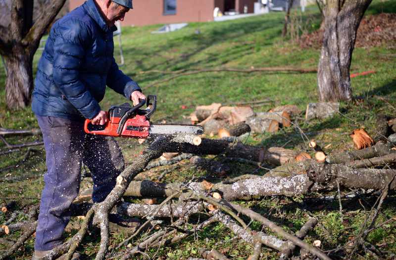 An older man in a blue puffer jacket and gray pants uses a red chainsaw to cut through fallen tree branches on a green lawn, with sawdust flying and a pile of cut logs and branches scattered around him, and a residential building visible in the background.