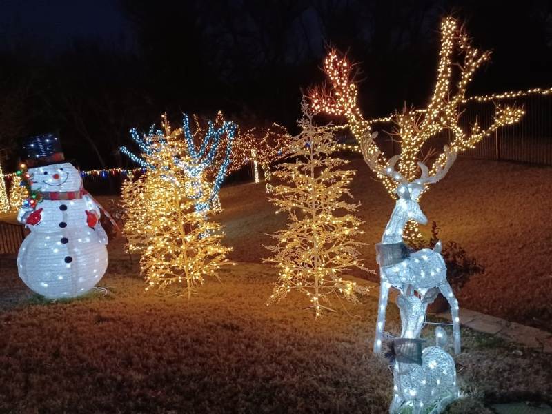 Christmas decorations in a backyard