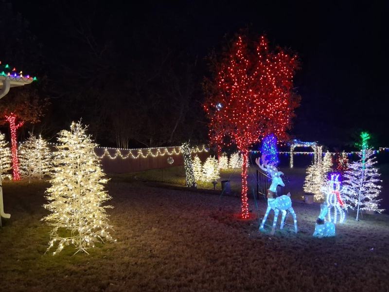 Christmas decorations in a backyard