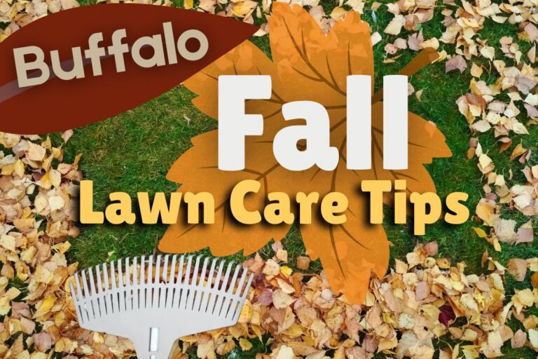 A gray fan rake rests among a thick pile of yellow, orange, and brown fall leaves scattered across a green lawn, overlaid with graphic text reading