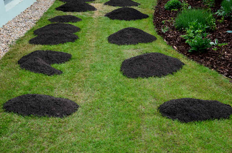Small piles of dark topdressing soil placed evenly across a green lawn.
