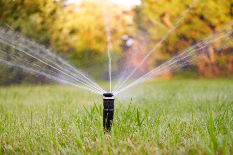 Sprinkler head spraying water across a green lawn with autumn foliage in the background.