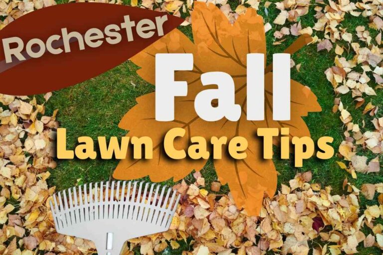 A gray fan rake rests among a thick pile of yellow, orange, and brown fall leaves scattered across a green lawn, overlaid with graphic text reading