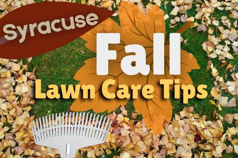 A gray fan rake rests among a thick pile of yellow, orange, and brown fall leaves scattered across a green lawn, overlaid with graphic text reading