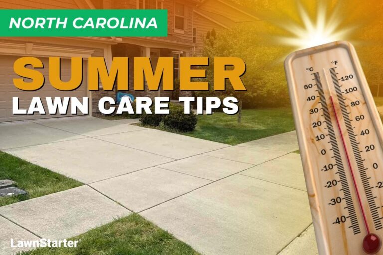 A house with a manicured lawn on an illustrated image with a thermometer and sunburst depicting summer heat.