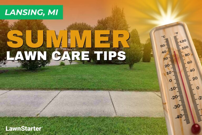 A house with a manicured lawn on an illustrated image with a thermometer and sunburst depicting summer heat.