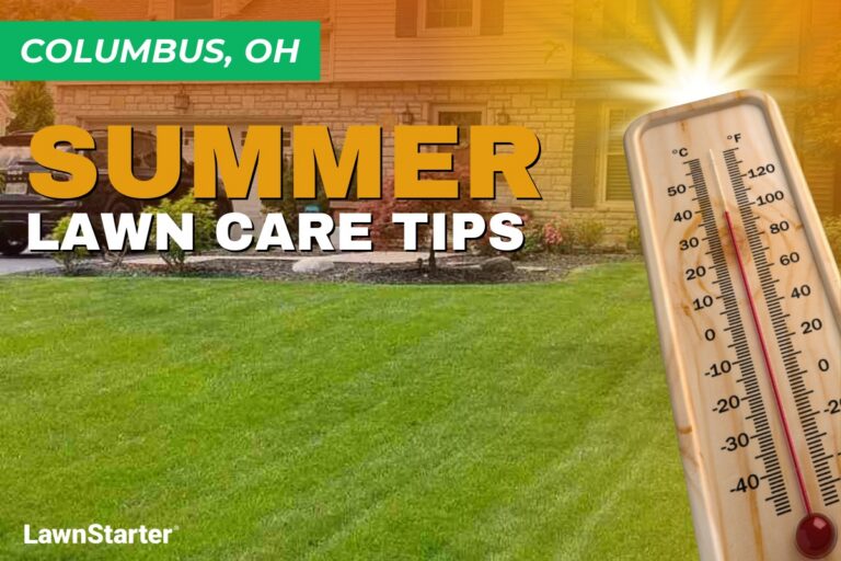A house with a manicured lawn on an illustrated image with a thermometer and sunburst depicting summer heat.
