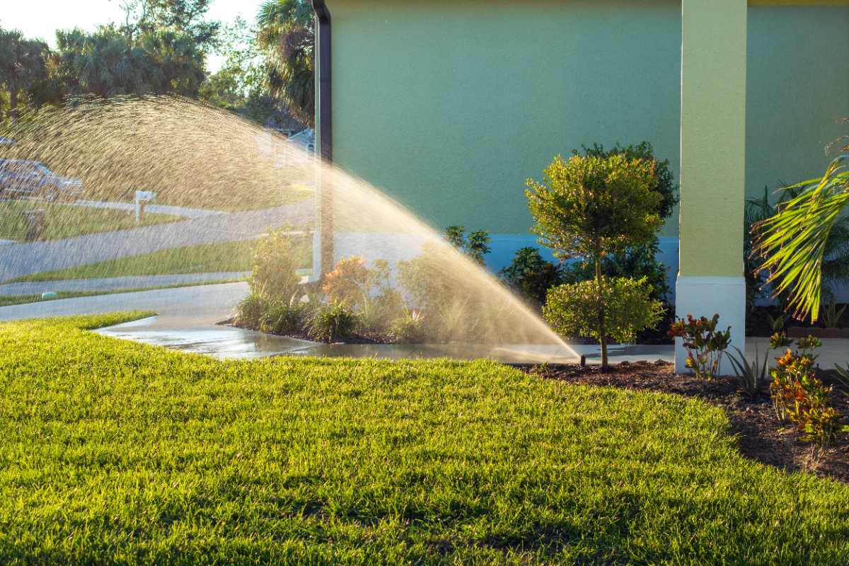 ¿Cuándo es el mejor momento para regar el césped cuando hace calor? ¿Cuándo es el mejor momento para regar el césped cuando hace calor?