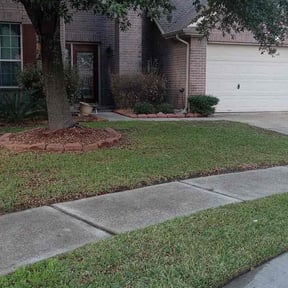 yard work by Kleen Kutz reviewed on December 42025