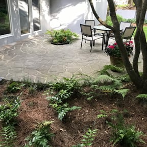 Bush Trimming by Suburban Cuts Lawn Care reviewed on August 202025