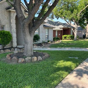 yard service by Mr. Mows It All reviewed on November 192025