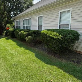 Bush Trimming by D's Lawn Care reviewed on October 182025