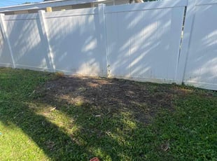 Cleanups by Dwaylon Peterson for Danielle R. in Tampa, FL