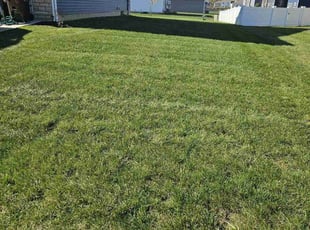 Suzanne M.'s Lawn Service service result