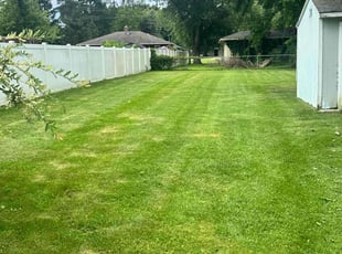 Patricia C.'s Lawn Service service result