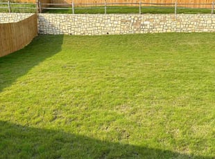 Jose C.'s Lawn Maintenance service result