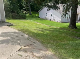 Brian P.'s Yard Cutting service result