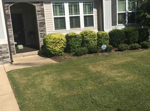 Bush Trimming by Billy Bryant for Saundra V. in Garner, NC