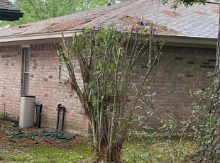Bush Trimming by Derrick Johnson for Matt W. in Spring, TX