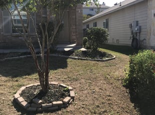Bush Trimming by Danny Shipman for Julie M. in San Antonio, TX