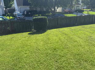 Bush Trimming by Larry Gordon for Frances R. in Virginia Beach, VA