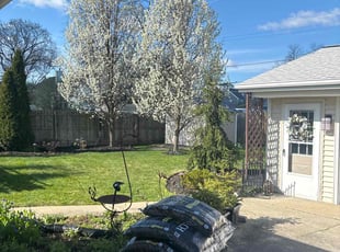 Susan T.'s Lawn Care service result