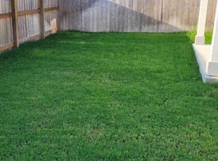 Dana C.'s Lawn Service service result