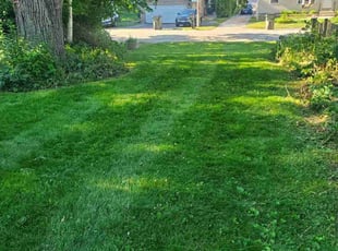 Patrick M.'s Lawn Maintenance service result