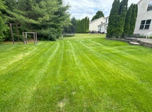 Julia M.'s Grass Cutting service result