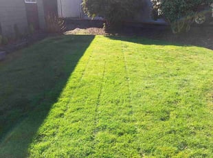 Dali K.'s Yard Cutting service result