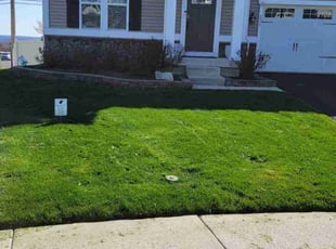 Sandra T.'s Grass Cutting service result