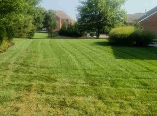 Sam D.'s Lawn Mowing service result