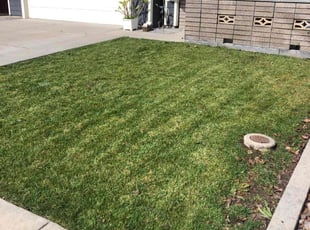 Jimmie S.'s Lawn Care service result