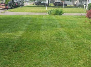 Linnell B.'s Yard Cutting service result