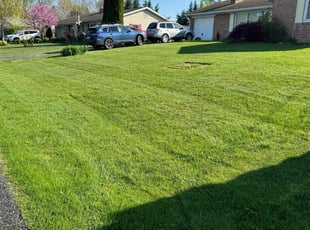 Aly M.'s Lawn Mowing Service service result