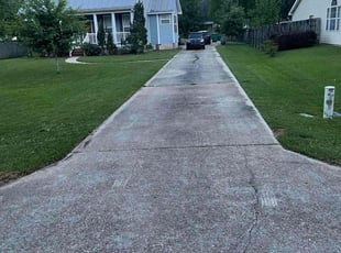 Nathan C.'s Yard Cutting service result