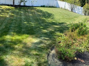 Chris S.'s Grass Cutting service result