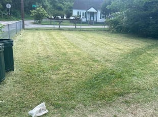 DeAngelo B.'s Lawn Service service result