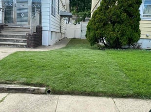 JOSEPH W.'s Lawn Mowing Service service result