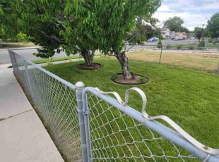 Sandy S.'s Yard Cutting service result