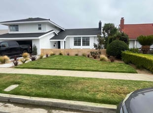 Patricia S.'s Grass Cutting service result