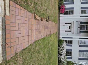 Nick I.'s Lawn Maintenance service result