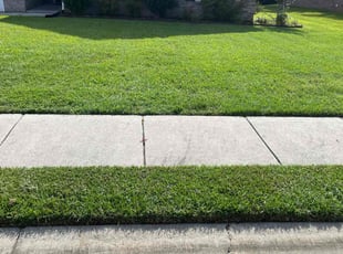 Dennis J.'s Lawn Mowing service result