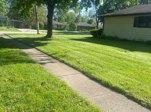 Pat M.'s Lawn Service service result