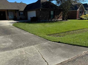 Brad B.'s Lawn Mowing service result