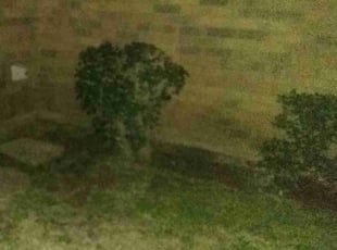 Cleanups by Walter Allison for Myss J. in Fort Worth, TX