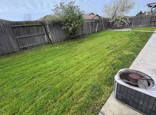 Lory W.'s Lawn Service service result