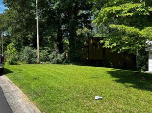 Shamica E.'s Lawn Mowing Service service result