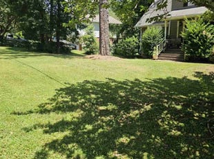 Christopher K.'s Grass Cutting service result