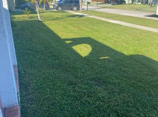 Doug B.'s Lawn Service service result